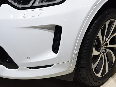 2021�� P300e ���ܿƼ���