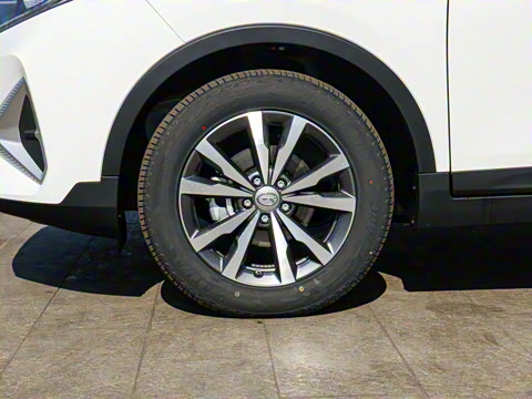 2021�� POWER 235T �ֶ������