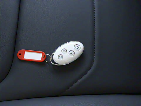 2020�� ����� 1.5T �ֶ�������