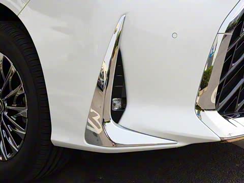 2020�� 300h ����������