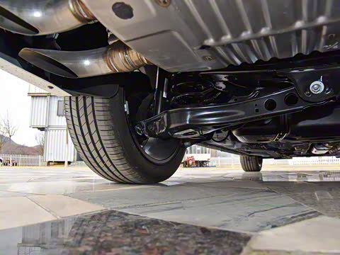 2019�� 20T �Զ�Trophy���Ǿ�����