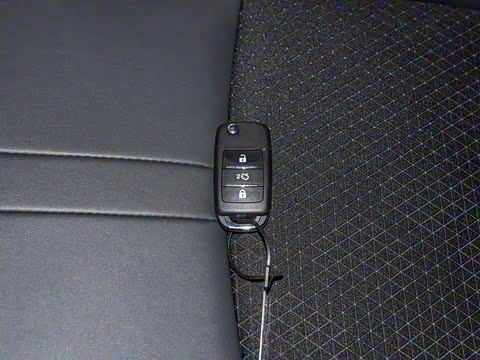 2019�� 1.4L �ֶ������� ��VI