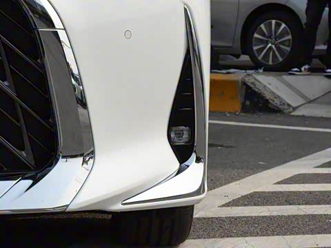 2020�� 300h ����������