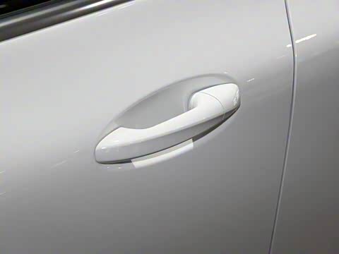 2019�� AMG GT 50 �����ܳ�