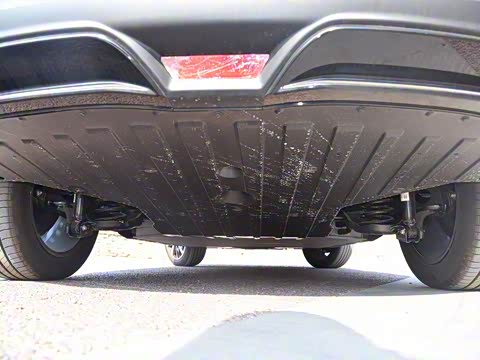 2019�� ������