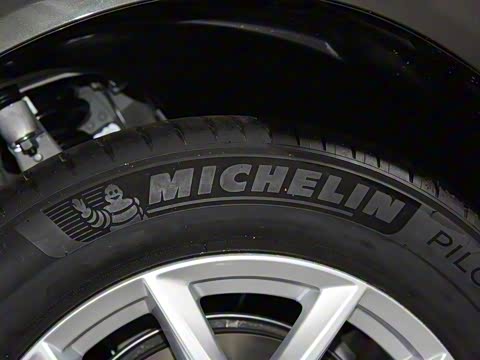 2021�� T5 �������ݺ�����