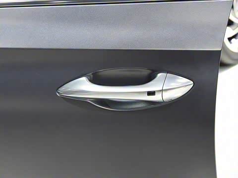 2020�� DLX������