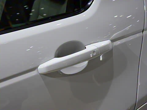 2021�� P300e ���ܿƼ���