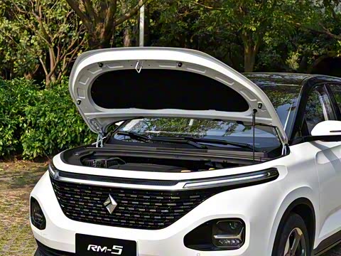 2019�� 1.5T CVT 24Сʱ��������� 5��