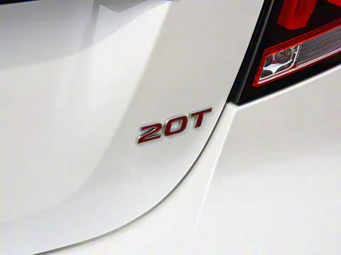 2019�� 20T �Զ�Trophy���Ǿ�����