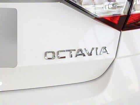 2020�� 1.5L �ֶ���׼��