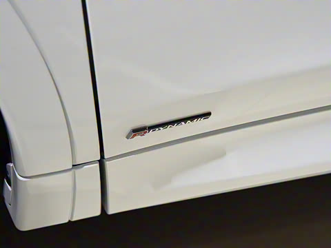 2021�� P300e ���ܿƼ���