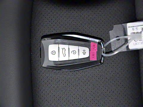 2020�� 1.4T �ֶ�������