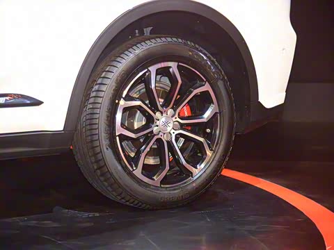 2019�� 2.0T �Զ��콢��