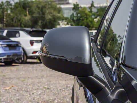 2020�� 2.0T ������Pro�� ��VI