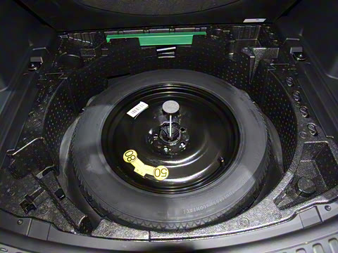 2021�� P300e ���ܿƼ���