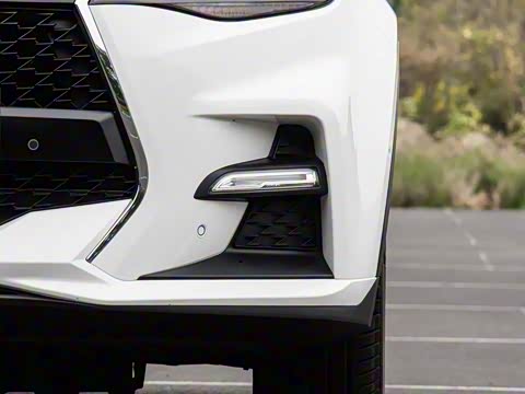 2019�� 2.0T �Զ��콢��