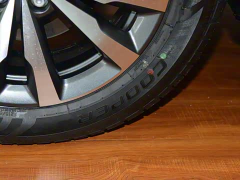 2019�� 235T �ֶ���Ӣ��