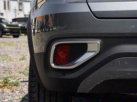 2020�� 2.0T ������Pro�� ��VI