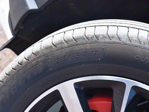 2019�� ������