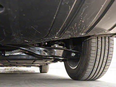 2019�� ������