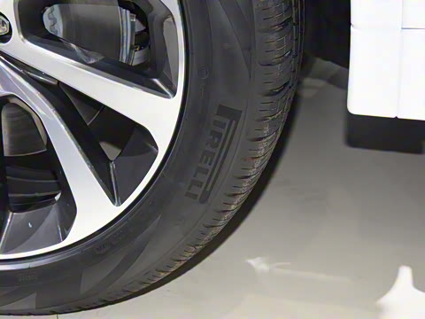 2021�� P300e ���ܿƼ���