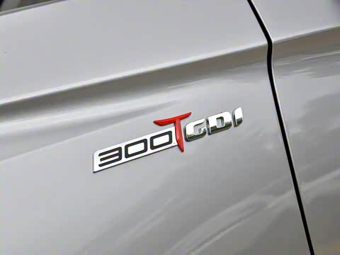 2019�� 1.6TGDI �Զ��Ű�