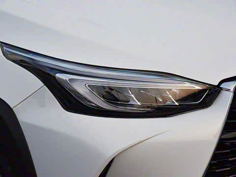 2020�� ����X 1.5L CVT������