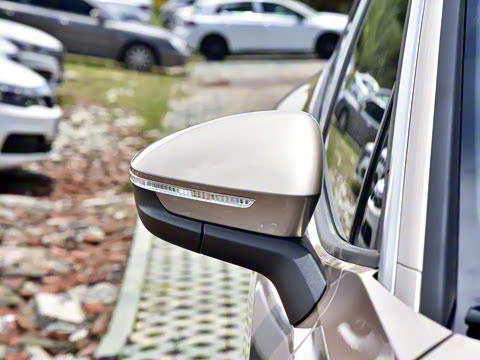 2021�� ������PURE+������