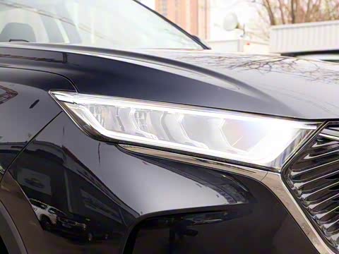 2020�� 1.5T �Զ��캽��