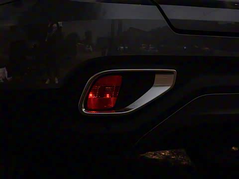 2020�� 2.0T ������Pro�� ��VI