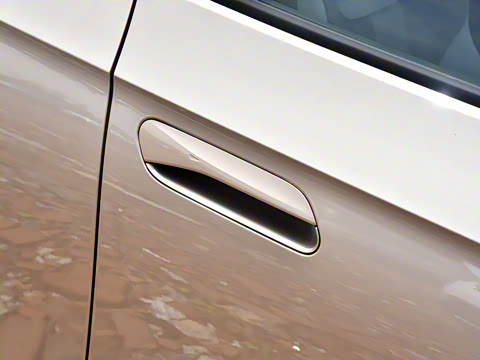 2021�� ������PURE+������