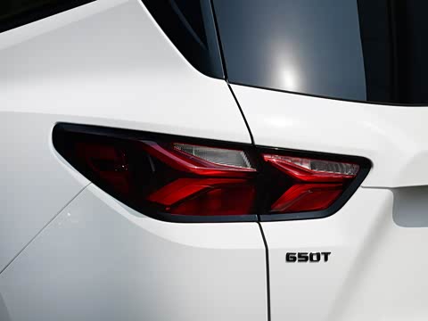 2020�� Redline 650T 7�� ����