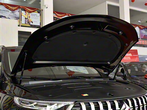 2021�� 1.5T CVT ������ 7��