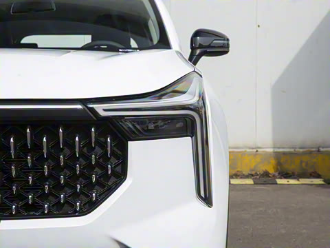 2021�� 1.5T �Զ��ֻ������