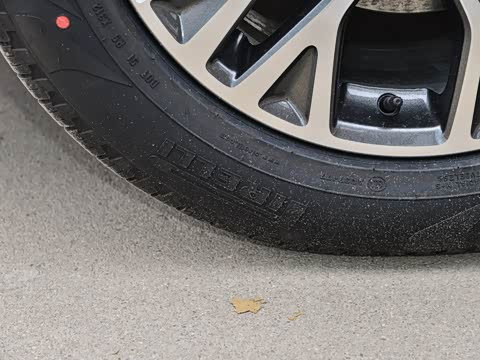 2020�� EcoBoost 245 ����������