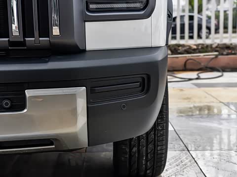 2025�� 2.0T 4WD Pro