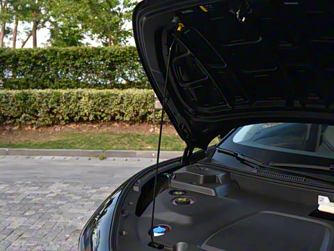 2025�� 502 ������ Max