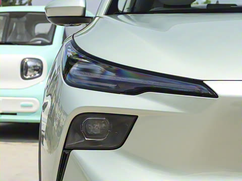 2025�� 565km ������