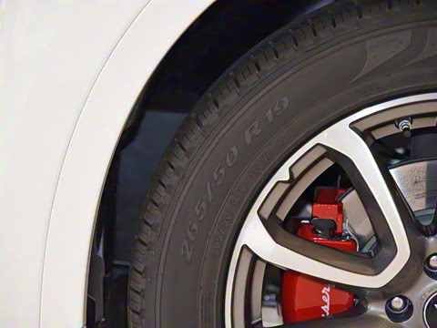 2021�� 3.0T ������