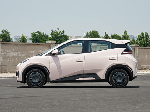 2025�� �Ǽݰ� 305km ������