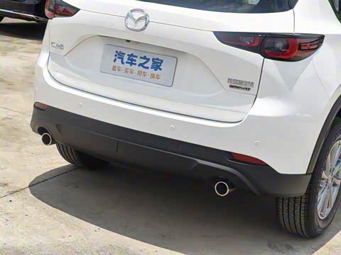 2025�� 2.0L �Զ�����������