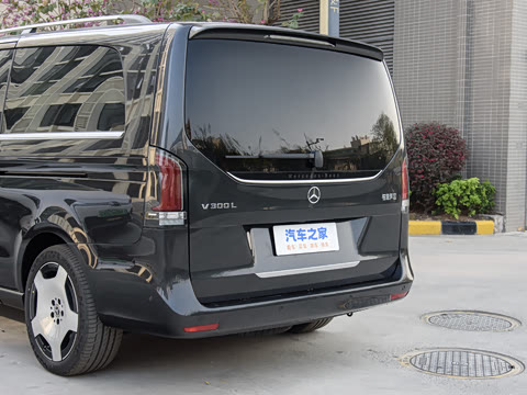 2024�� V 300 L ����������