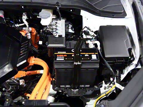 2020�� TOP������