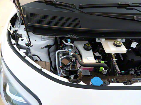 2025�� 330��ҫ��