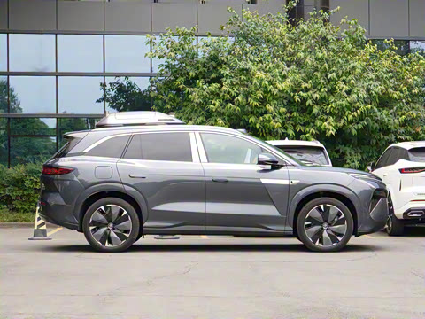 2025�� DM 175KM���˻���Ұ�