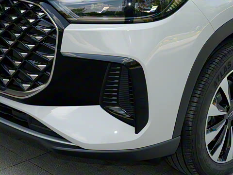 2025�� 290TGDI DCT�˷�� 7��