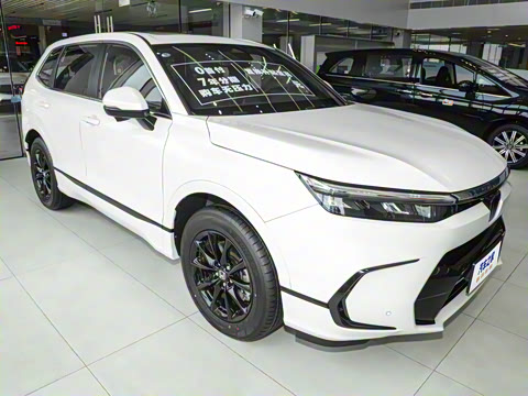 2025�� e:HEV ������ҫ��