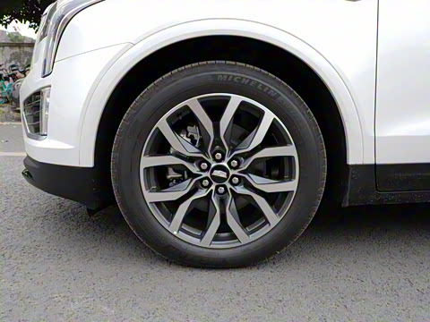 2021�� 28T ���������˶���