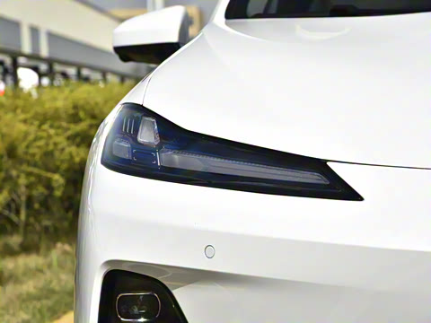 2025�� 230Max  �����Ǽ�AD PRO���̰�